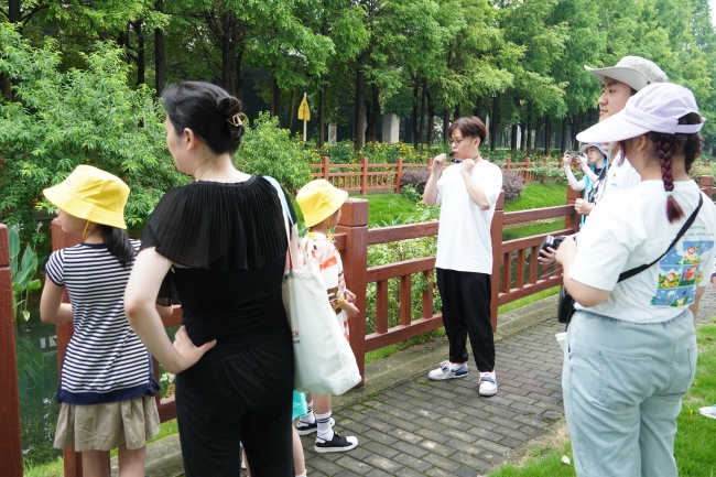 DSC04410 DSC04410