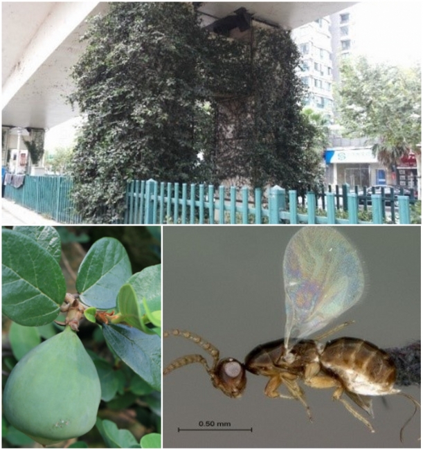 组合1 组合1