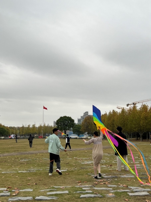 图片8 图片8