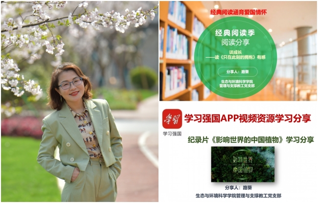 组合1