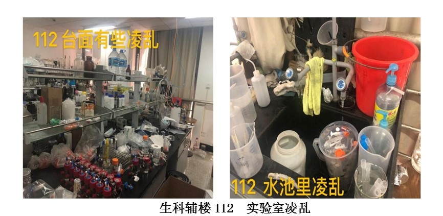 图片7 图片7