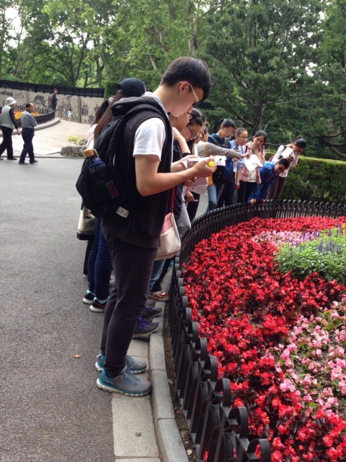 QQ图片20150601085441 QQ图片20150601085441