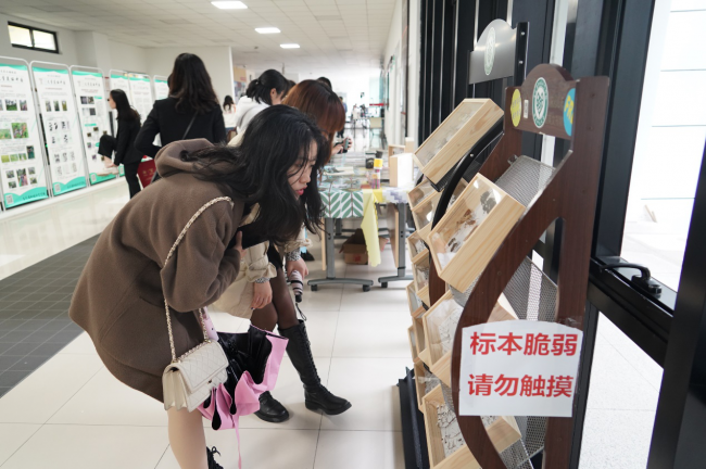 图片16