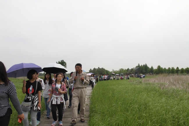 跟着讲解员参观东滩湿地公园:扬子鳄生活区 跟着讲解员参观东滩湿地公园:扬子鳄生活区