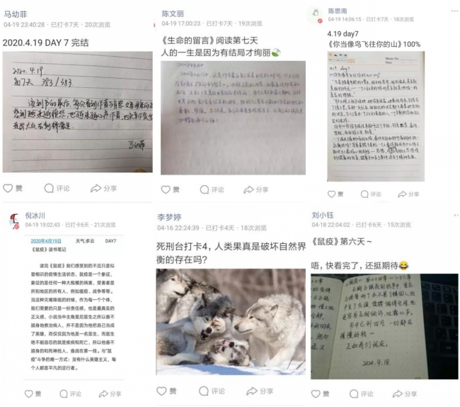组合