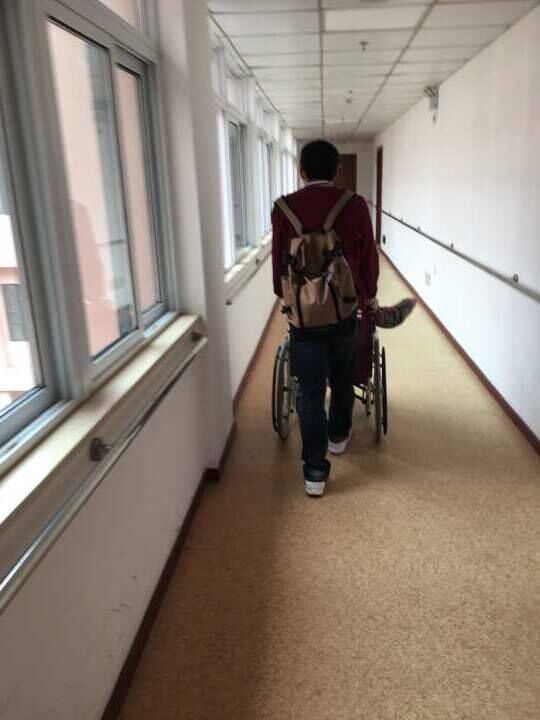 志愿者帮老人推轮椅 志愿者帮老人推轮椅