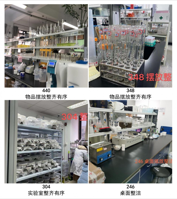 图片12 图片12