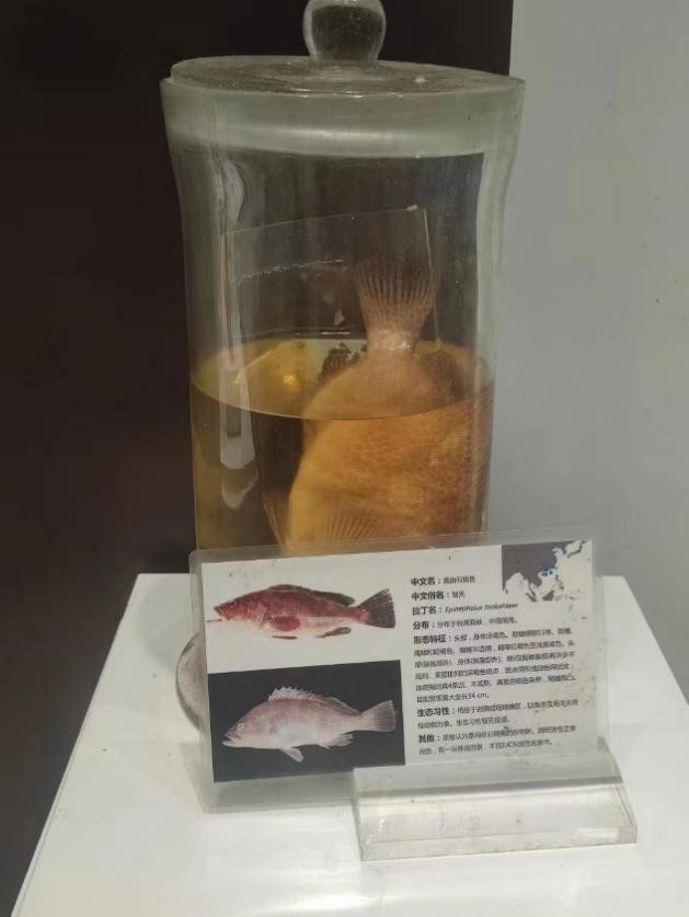 17 17