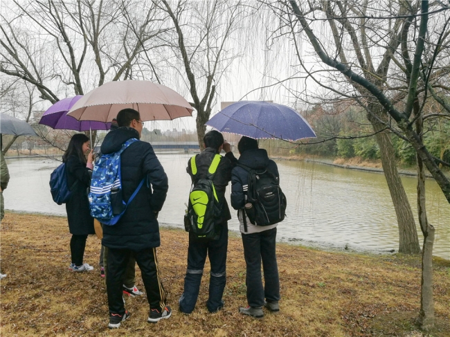 03同学们雨中观鸟 03同学们雨中观鸟