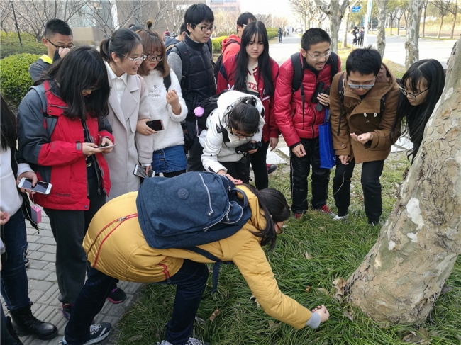 04同学们寻找麦冬果实 04同学们寻找麦冬果实