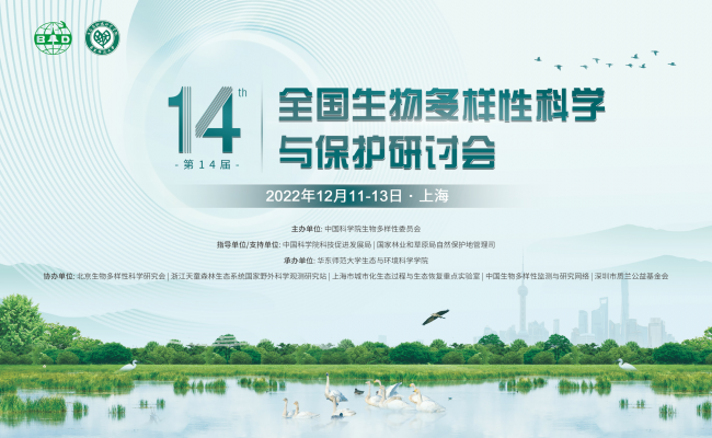 大会背景图 大会背景图