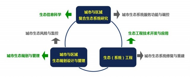 4 研究领域及方向 (2) 4 研究领域及方向 (2)