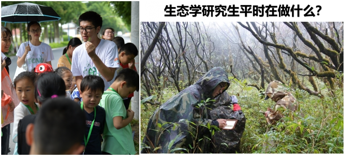 组合1