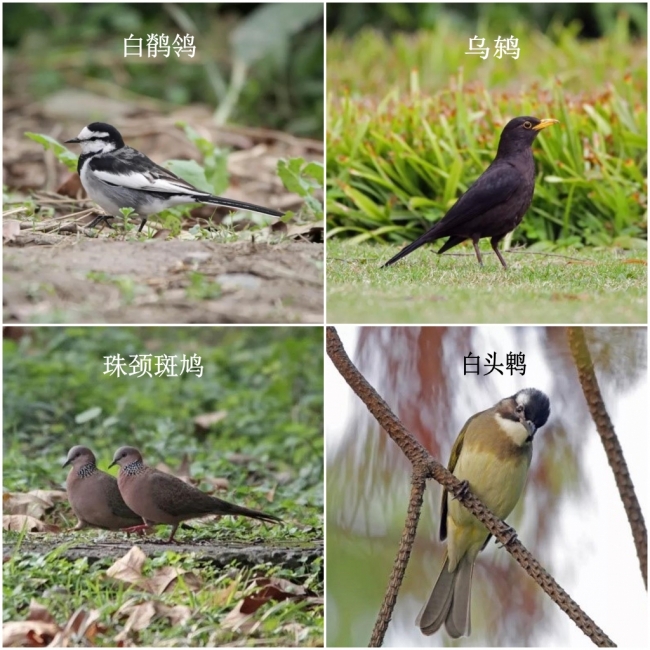 组合4