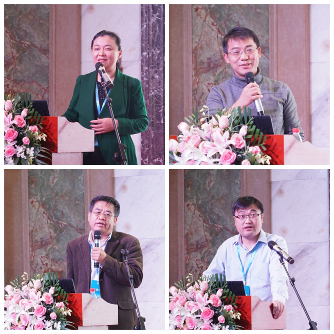 图片14 图片14