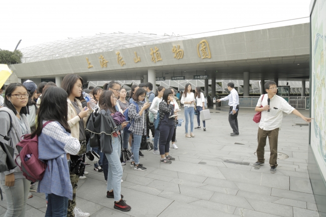 图片1 图片1