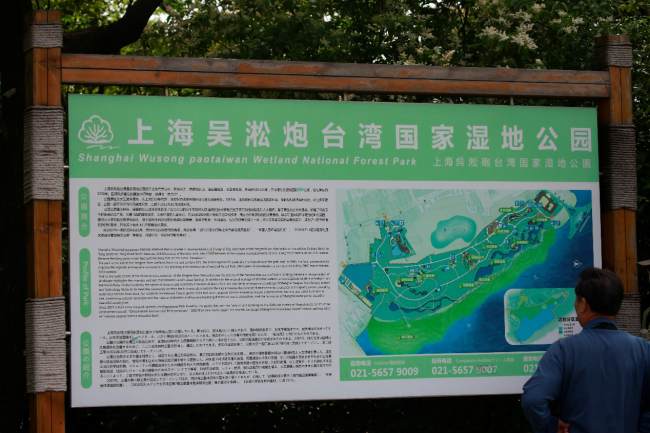 图片1 图片1