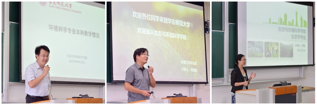 组合1 组合1