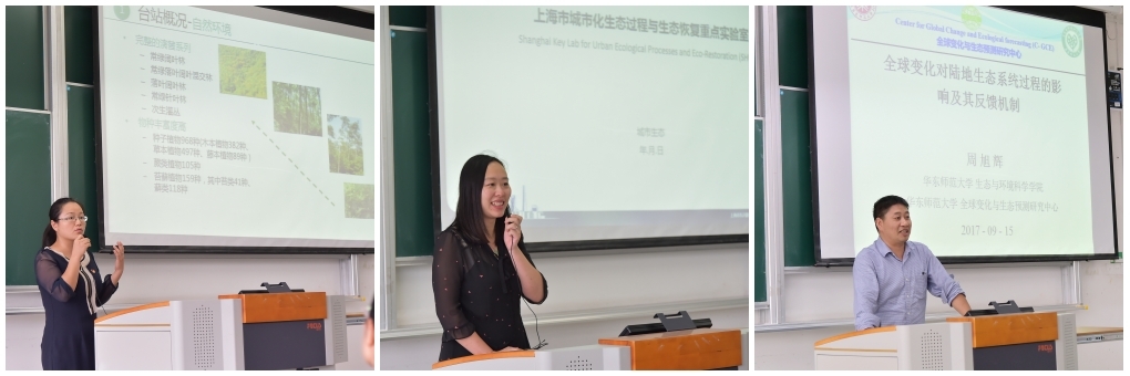 组合6